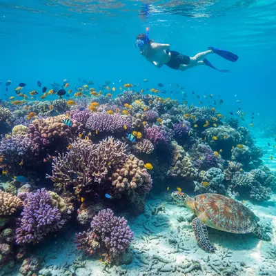 Симиланские острова