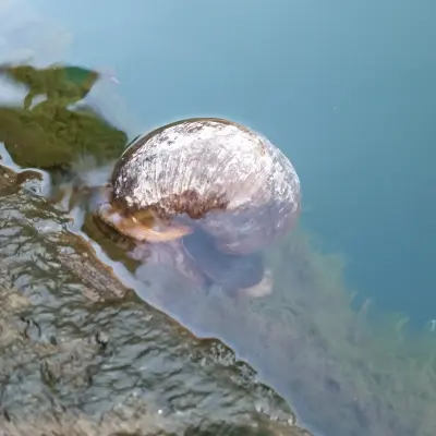 Као Сок и озеро Чео Лан экскурсия 1 день - миниатюра 4