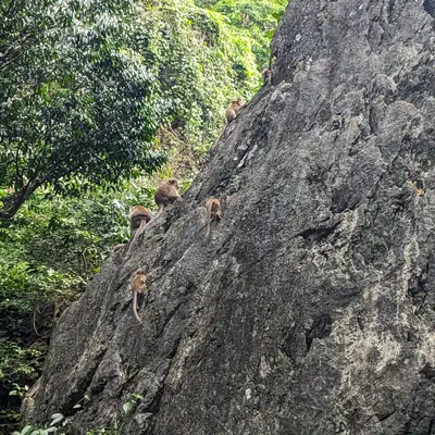 Национальный парк Као Лак - миниатюра 6