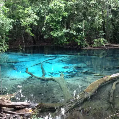 Экскурсия в Краби с Пхукета - миниатюра 9