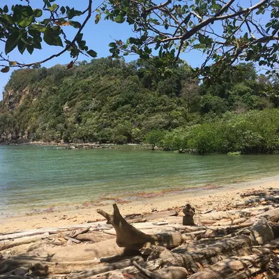 Острова Рок и Ха - миниатюра 6