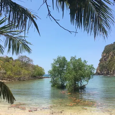 Острова Рок и Ха - миниатюра 7