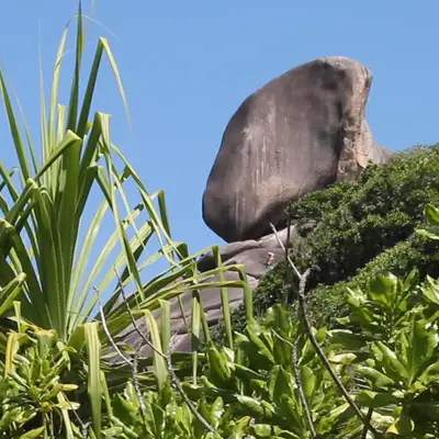 Симиланские острова экскурсия на 2 дня - миниатюра 6