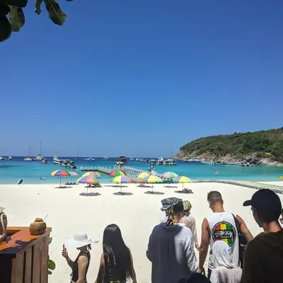 Остров Рача экскурсия на катамаране - миниатюра 4