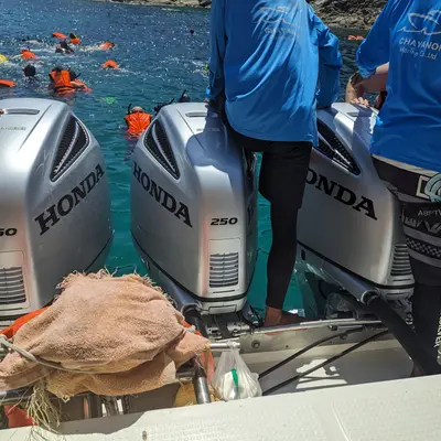 Острова Рача и Корал - миниатюра 6