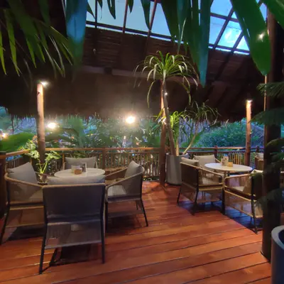 Мир Ханумана - миниатюра 7