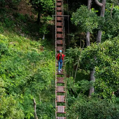 Зиплайн "Полет Ханумана" - миниатюра 6