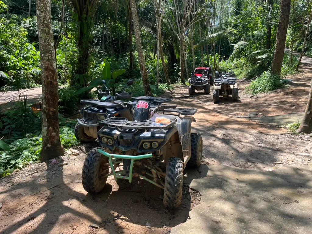 Сафари на квадроциклах - фото 1