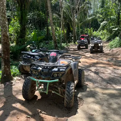 Сафари на квадроциклах