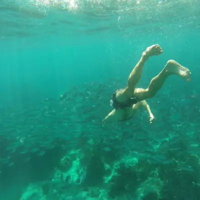 Снорклинг на Сурине