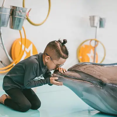 Шоу дельфинов "Немо"