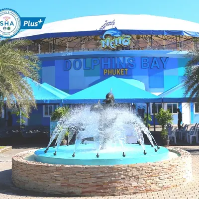 Шоу дельфинов Немо