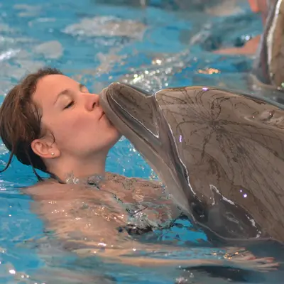 Женщина целуется с дельфином