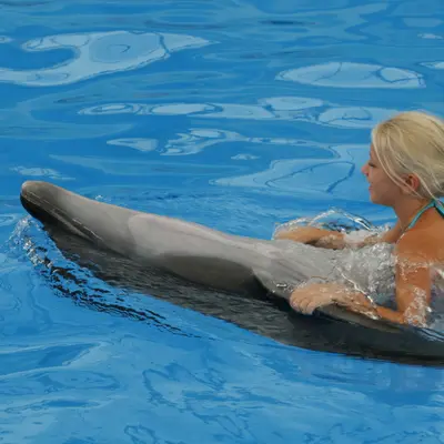 Девочка плавает с дельфином