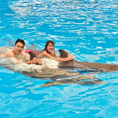 Два человека плывут на спинах у дельфинов