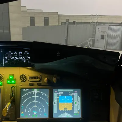 Авиасимулятор Боинг-737 - миниатюра 6