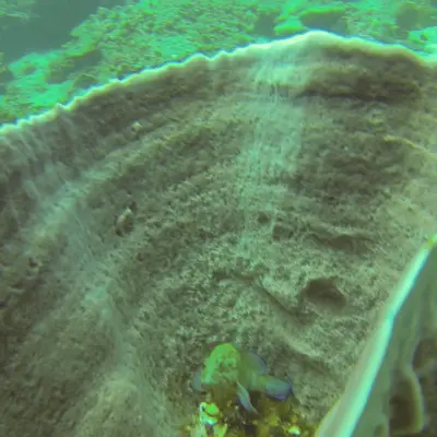 Дайвинг на Пхукете - миниатюра 3