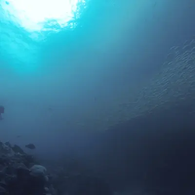 Дайвинг на Пхукете - миниатюра 5