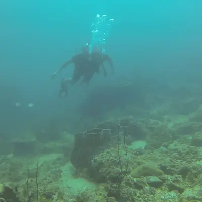 Дайвинг на Пхукете - миниатюра 6